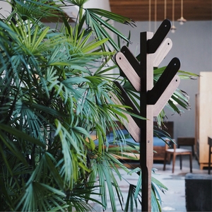 Perchero de Madera Maciza Creativo y Autónomo con Ramas Extraíbles, Origen Chongqing, Embalaje para Envío - Product Image 2