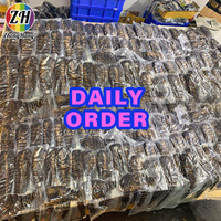 Paquetes de cabello humano Sdd Pixie Curls 14A Proveedores de cabello crudo de un solo donante Super Double Drawn Raw Vietnamese Pixie Curl Bundle