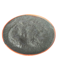 Revêtement polyuréthane ignifuge pour extérieur de bâtiment, peinture isolante résistante au feu 4h, température maximale 450°F, garantie 1 an