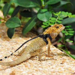 Échantillon Gratuit : Harnais et Laisse Réglables pour Dragon Barbu (S, M, L) en Cuir Souple – Laisse pour Reptiles, Lézards, Amphibiens et Autres Petits Animaux - Product Image 6