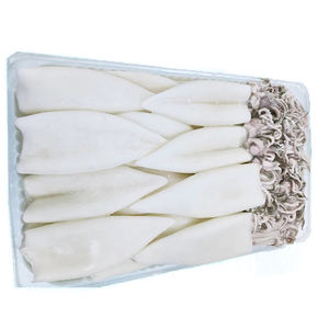 Calamaro Loligo Ghai T+T (Loligo Patagonica) Congelato Cinese a Prezzo Conveniente, Calamaro Loligo Intero Congelato in Offerta - Product Image 3