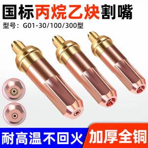 National Standard Cutting Nozzle G01 30 100 300 Oxygen Propane Coal Gas Lpg Acetylene Plum Blossom Ring - Product Image 5