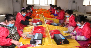 Prix de la plume de Nagorie d'oie teinte 5/9 pouces violet multicolore lavé 12 pouces plumes d'oie longues naturelles brutes pour l'artisanat naturel - Product Image 5