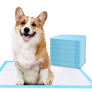 OEM Custom ize 60x60cm <span class=keywords><strong>60</strong></span>*90 Übergroßes Welpen-Töpfchen für das Training von duftenden Einweg-Pee-Mats-Pads mit Kanten barriere - Product Image 1