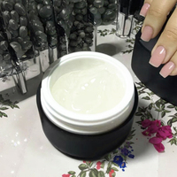 Label privé 3D Miroir Magique Poudre Dessin Gel Strass Français Base D'eau Sculpture Nail Art Modélisation Décoration Colle LED
