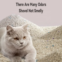Litière pour chat agglomérante sans poussière Sable OEM/ODM Factory Arena Para Gatos Al Por Mayor Pet Bentonite Litière pour chat pour chat