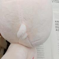 Poupée en coton de 20 cm, corps uni, figurines d'action sans broderie, attributs, image de figurine étoile, poupée lisse
