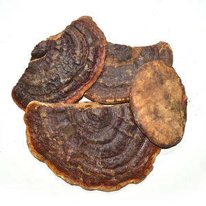 Thé aux champignons entiers séchés, Ganoderma Resinaceum Boud sauvage, aliment santé - Product Image 3