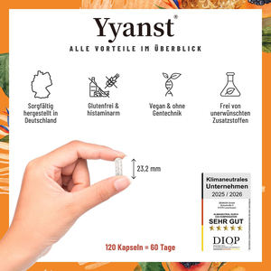 แคปซูลบรอมีเลนและปาปายน์คุณภาพสูงสำหรับสุขภาพลำไส้และเสริมภูมิคุ้มกัน (ฉลากสินค้าส่วนตัว) - Product Image 4