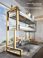 Égouttoir à vaisselle multifonctionnel à double niveau en acier inoxydable pour la maison avec bac d'égouttage au-dessus de l'évier, rangement pour la cuisine