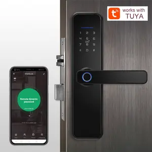 China Supplier Junli Factory X5 Series Wifi App Remote Biometric Password Home Anti-Theft Smart Door Lock