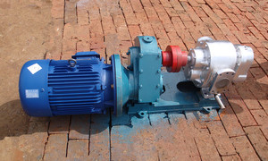 Vente directe d'usine Pompe à lobes rotative pour colle à haute viscosité série LC Pompe à huile LC - Product Image 3