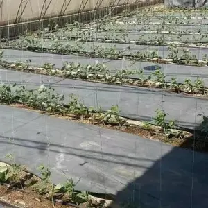 Invernaderos de jardín personalizados Protección solar Lonas de lona ignífugas Lona impermeable recubierta de PE