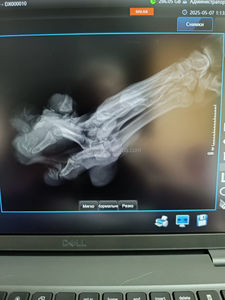 KT-D023 5KW 100mA <span class=keywords><strong>HF</strong></span> Veteriner Dijital Röntgen Jeneratörü, DR Sistemli, Veteriner Kliniği Hastanesi Acil Durumları için Tak ve Çalıştır - Product Image 3