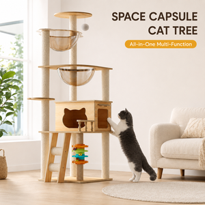 Design <span class=keywords><strong>a</strong></span> Capsula Spaziale: Letto in Acrilico Trasparente Offre un Look Moderno Unico e Offre ai Gatti un Spazio di Riposo Accogliente e Sicuro - Product Image 1