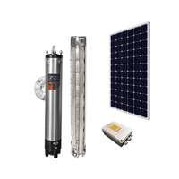 Pompe submersible à énergie solaire en acier inoxydable, résistante à l'usure, pour le forage de puits et la gestion de l'eau