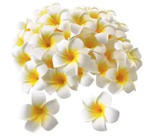 Diametro 2.4 Pollici Artificiale Plumeria Rubra Hawaiian Petali di Fiori Per La Cerimonia Nuziale Decorazione Del Partito