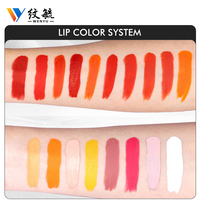 Pigment de microblading organique, encre PMU, pigment liquide longue durée pour les lèvres, différentes couleurs, pigment de maquillage semi-permanent