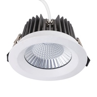 5 ans de garantie D110mm Angle de faisceau 60 10w 30w 40w COB Ip65 Downlight mur LED extérieur étanche Downlight pour salle de bain