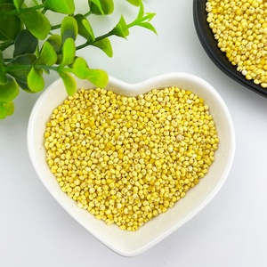 Fabricant chinois Nouveau produit 500g <span class=keywords><strong>Millet</strong></span> jaune gluant <span class=keywords><strong>sans</strong></span> <span class=keywords><strong>gluten</strong></span> - Product Image 5