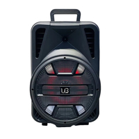 Sistema de Karaoke Portátil para Exteriores de Alta Fidelidad, Micrófono Inalámbrico 5.0, Woofer de 12 Pulgadas, Salida de 20 W, Iluminación LED RGB, Altavoz con Tarjeta de Memoria, 5-10 Horas de Duración