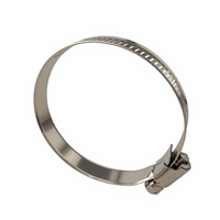 Collier de serrage à vis sans fin de type américain 8 mm en acier inoxydable 304 perforé pour tuyau de petit diamètre automobile