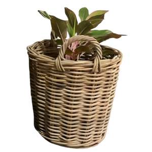 Producto de Mimbre de Ratán ISA de Alta Calidad de Indonesia, Java Occidental: Flexible, Multifuncional, Artesanía Natural, Grande y Pequeño - Product Image 2