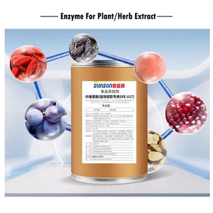 Phức tạp cellulase <span class=keywords><strong>Enzyme</strong></span> bột (017), đặc biệt cho nhà máy chiết xuất, cải thiện năng suất của chất dinh dưỡng chiết xuất từ các loại thảo mộc - Product Image 6