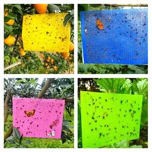 Professional Sticky Trap Citrus Fruit Fly For Agriculture Pest Control