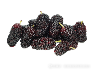 Polvere di gelso essiccata a spruzzo premio <span class=keywords><strong>100</strong></span>% naturale-senza additivi, ricchi di antociani, solubile istantaneo - Product Image 2