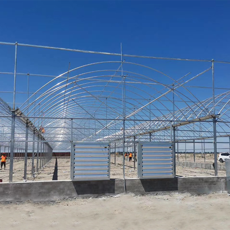 Large Agricultural/Commercial Greenhouse Low Cost PE Film and Polycarbonate Covered Tunnel Greenhouse Agriculture