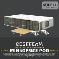 Maison préfabriquée mobile intelligente, capsule spatiale portable, villa extensible, mini cabine mobile modulaire de 20 pieds avec salle de bain
