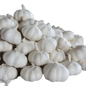 Shandong Xuanyi Wholesale Fresh Garlic With Standard Garlic Specification