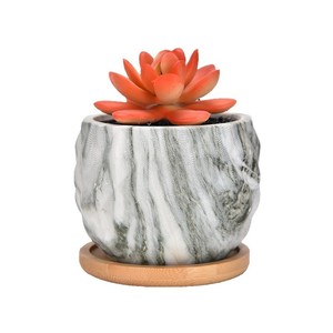 Vente en gros de pots d'ananas succulents en céramique émaillée écologique quatre couleurs disponibles pour le marché pots de fleurs jardinières - Product Image 5