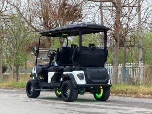 Carrito de Golf de 4 Plazas, Motor de Doble Batería, Vehículo Utilitario de Largo Alcance para Turismo, Certificado por la CEE, Nuevo, Certificado por el DOT - Product Image 3