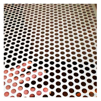 Tamis en acier inoxydable perforé pour grains de café / tamis à grains