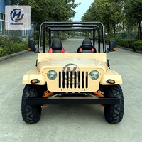 Dune Buggy 250CC à essence, pneus robustes noirs tout-terrain pour les loisirs en station, phares ronds