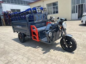 Triciclo Eléctrico <span class=keywords><strong>Motorizado</strong></span> <span class=keywords><strong>de</strong></span> Carga <span class=keywords><strong>de</strong></span> 800W Directo <span class=keywords><strong>de</strong></span> Fábrica, Carrocería Abierta, Triciclo para Adultos <span class=keywords><strong>de</strong></span> Alta Resistencia, Baja Velocidad, Envío Inmediato, Personalizable - Product Image 1