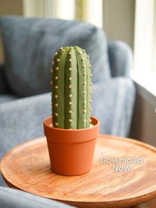 Figurine de cactus en pot imprimée en 3D, jeu d'échecs, figurine de succulente, décoration de bureau, jouet éducatif pour enfants et adultes - Product Image 6