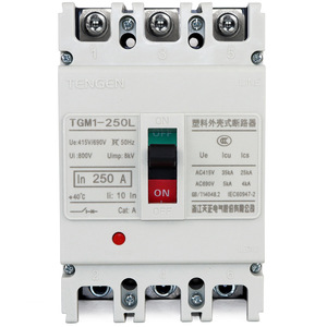 Interruptor de Circuito en Caja Moldeada Tianzheng TGM1, 3P 4P 100A 250A 400A, Interruptor Térmico Magnético de Bajo Voltaje - Product Image 3