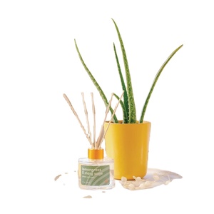 Premium Mindful Suculent Sunset Spectrum Gardener Kit para una vida más pacífica y mejor - Product Image 1