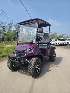 Voiturette de golf compacte 4 places à vendre pour usage sur le parcours - Product Image 5
