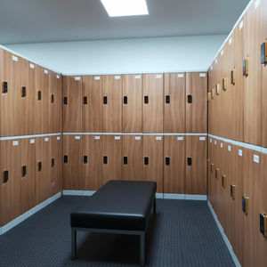 Modern Discount Golf Club Storage Lockers <b>Smart</b> Beach Locker with Hospital Cabinets Casilleros Recaudo Gym Locker - Product Image 4