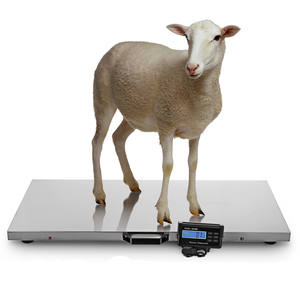 Balance électronique de précision 500 kg en acier inoxydable pour animaux de compagnie, bagages à main, bétail, livraison express, balance postale, livraison rapide - Product Image 1