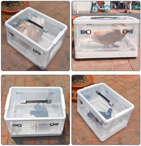 Good Quality Racing <strong>Pigeon</strong> Shipping <strong>Boxes</strong> <strong>for</strong> Sale - Product Image 6
