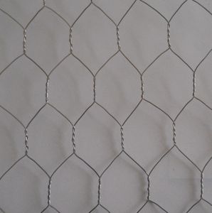 Rouleau de grillage hexagonal galvanisé BWG 21x3/4 po pour clôture de volailles - Product Image 3