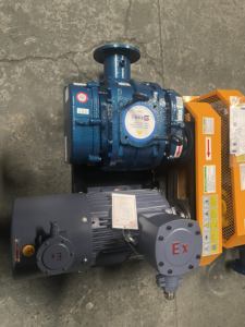 220V/380V pour le transfert de biogaz et de gaz explosifs - Moteur antidéflagrant, souffleur à racines compatible OEM - Product Image 3