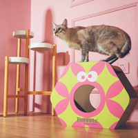 OEM/ODM Cat Condo Karton Wellpappe Cat Cardboard House mit Scratcher