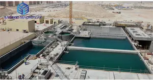 Профессиональная фабрика BLX, Высококачественная установка для очистки сточных вод