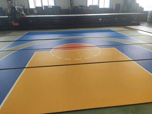 Alfombra de Lucha Libre Unisex Kaka Mat Rw-05 Directo de Fábrica, Logotipo Personalizable, Tamaños de 12*12m y 8*8m, Otros Materiales - Product Image 5